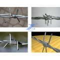 Sharp High Quality Stainless Steel Barbed Wire (factory)